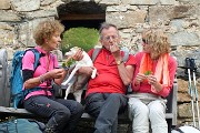 Valle e ghiacciaio del Forno dal Passo del Maloja (Svizzera) il 23 giugno 2016 - FOTOGALLERY